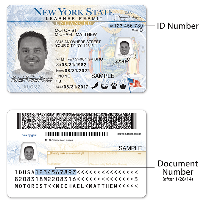 can you get into mexico with an enhanced driver's license
