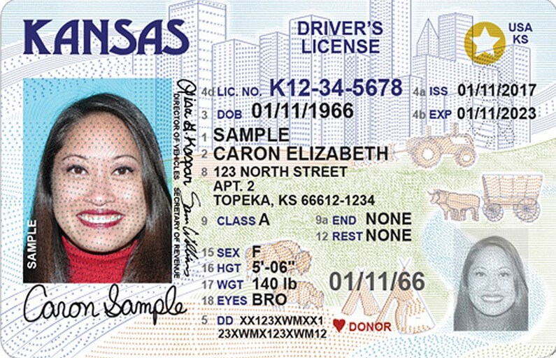 courthouse driver's license