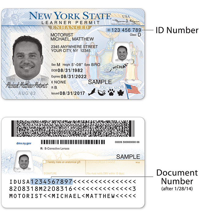 how to get a ny state driver's license